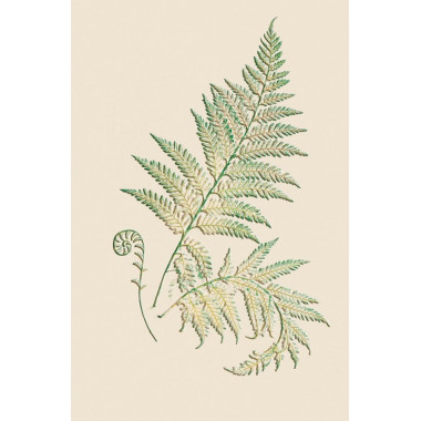 Ευχετήρια κάρτα χωρίς...