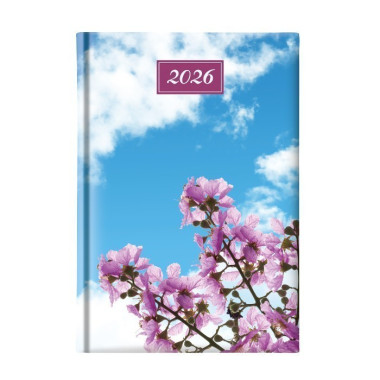 Ημερολόγιο Ημερήσιο 2026...