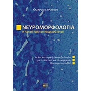 Νευρομορφολογία, Η λεπτή...