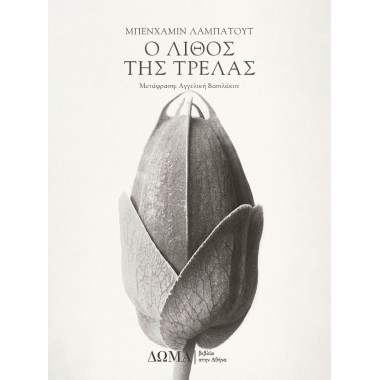 Ο λίθος της τρέλας