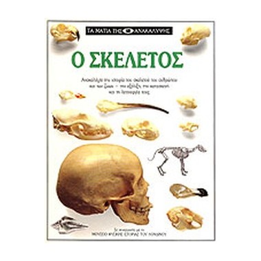 Ο σκελετός
