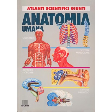 Anatomia umana