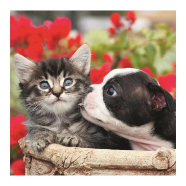 Puzzle Φίλοι Σκύλος & Γάτα...