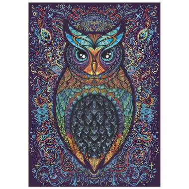 Puzzle Κουκουβάγια 2D 500...