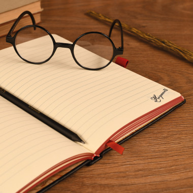 Σημειωματάριο Friends A5...