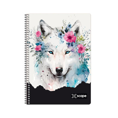 Τετράδιο Σπιράλ 2Θ Β5...