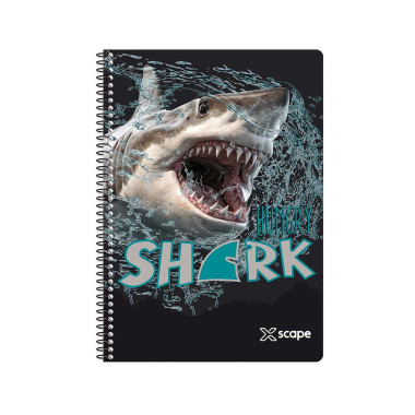 Τετράδιο Σπιράλ 2Θ Β5...